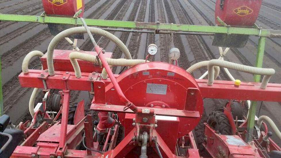 Damen zaaide 0,9 miljoen zaden per hectare op een perceel van in totaal 2,5 hectare.