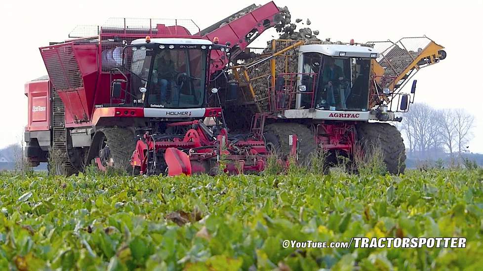 Agrifac Exxact OptiTraxx Suger Beet harvester | Massey Ferguson 6190/3115 | Loonbedrijf Fase