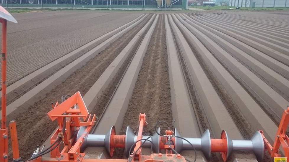 De ruggen worden gefreesd, met vloeibare start fosfaat door de rug heen. Die is direct beschikbaar en bereikbaar voor de wortels. De rundveedrijfmest zit dieper weg en moet in de bodem worden omgezet.