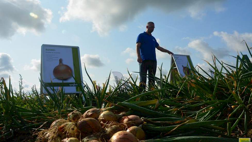 Syngenta heeft vijf uienrassen op de rassenlijst. Progression is het nieuwste ras van het bedrijf.