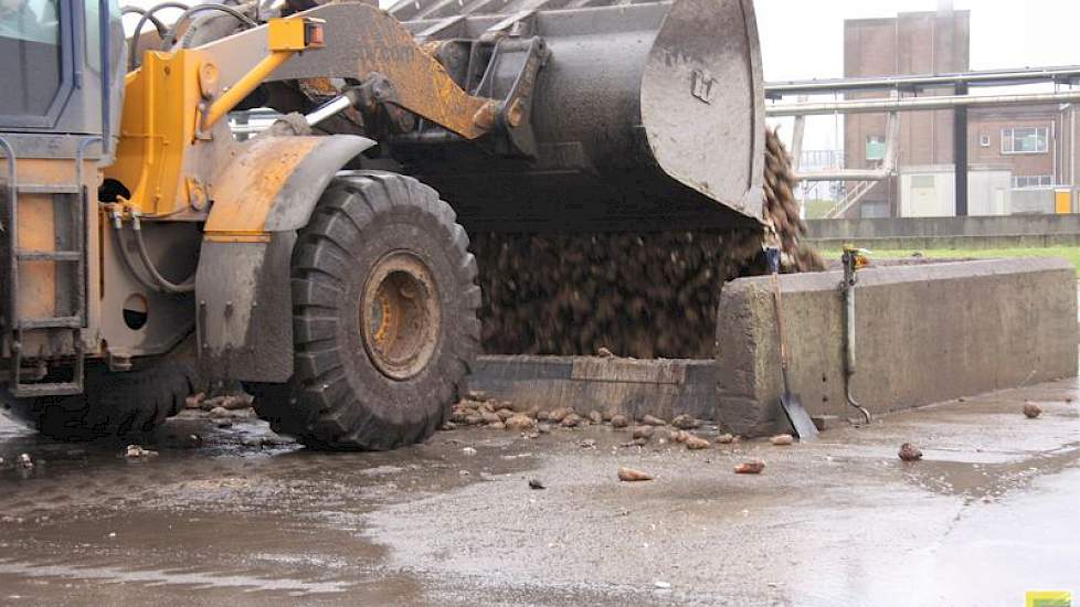 Een shovel verplaatst steeds de eerst aangekomen wortels naar de put.