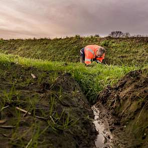 Aan de rand van een landbouwperceel onderwerpt Boom een door de boer zelf gemaakte afwateringssleuf aan een nadere inspectie.
