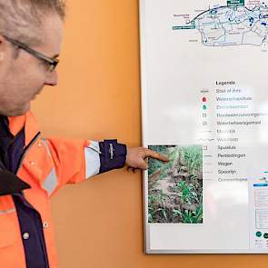 Een foto op kantoor laat zien wat er gebeurt als boeren hun mais tot vlak op de oeverrand inzaaien: verzakkingen, uitspoeling en scheuren  zijn het gevolg.