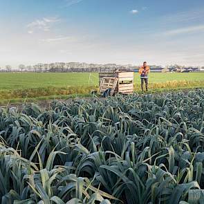 Even verderop, aan de rand van een perceel prei, blokkeert een palletbox het voor het waterschap vrij te houden onderhoudspad. Via GIS Ratio is in no time de perceeleigenaar opgespoord.