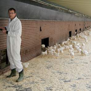 Niek (58) en Janny (55) van den Borne houden in Reusel 39.600 scharrelvleeskuikens in drie identieke stallen. Voorheen hielden ze hier 75.000 reguliere vleeskuikens. Door de omschakeling daalde de bezetting drastisch want die mag inclusief uitloop maximaa