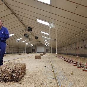 Corné Dirven (47) houdt in Someren 13.500 traag groeiende vleeskuikens volgens het Kip van Morgen concept van Jumbo. Naast één vleeskuikensstal heeft hij twee varkensstallen die plaats bieden aan 3.300 opfokgelten. Het werk in de stallen doet hij grotende