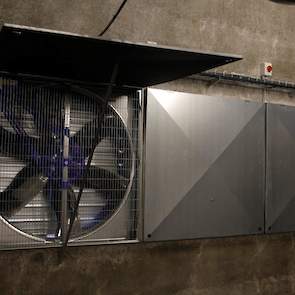 Met behulp van stangen kan Verhoef de kleppen van de zes grote ventilatoren open houden. Hij kan de ventilatoren zowel in het voerlokaal als achter in de stal aan en uit zetten.