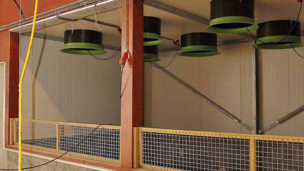 Van Erp plaatste de ventilatoren in de nieuwe stal niet in de achterwand. „Dit was een idee van onze aannemer en heeft meerdere voordelen”, zegt Willy. „Door de lucht direct naar boven te blazen hebben we minder tegendruk en dus lagere stroomkosten en ook