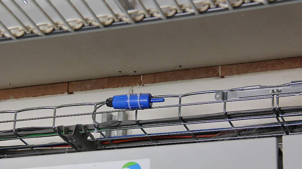 Ook boven de inpakker in het eierlokaal hangt een warmtevoeler.