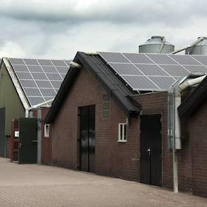 De panelen op de kuikenstallen in Oirschot leveren een jaaropbrengst op van 479.898 KWh. Door de panelen wordt het bedrijf zelfvoorzienend in het elektriciteitsverbruik en kan er ook nog 50 procent worden teruggeleverd aan het net.