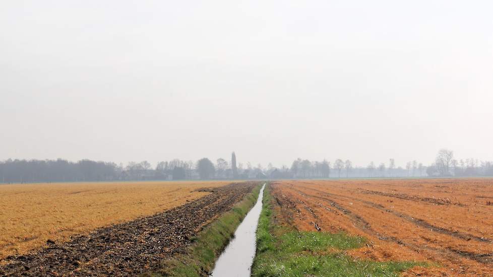 Niet het perceel dat wordt beschreven in het artikel.