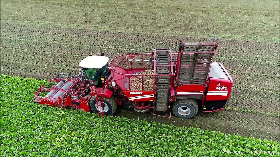 Suikerbieten rooien / Sugar beet harvest / Zuckerrüben ernten / Grimme / Fendt / Bietenoogst