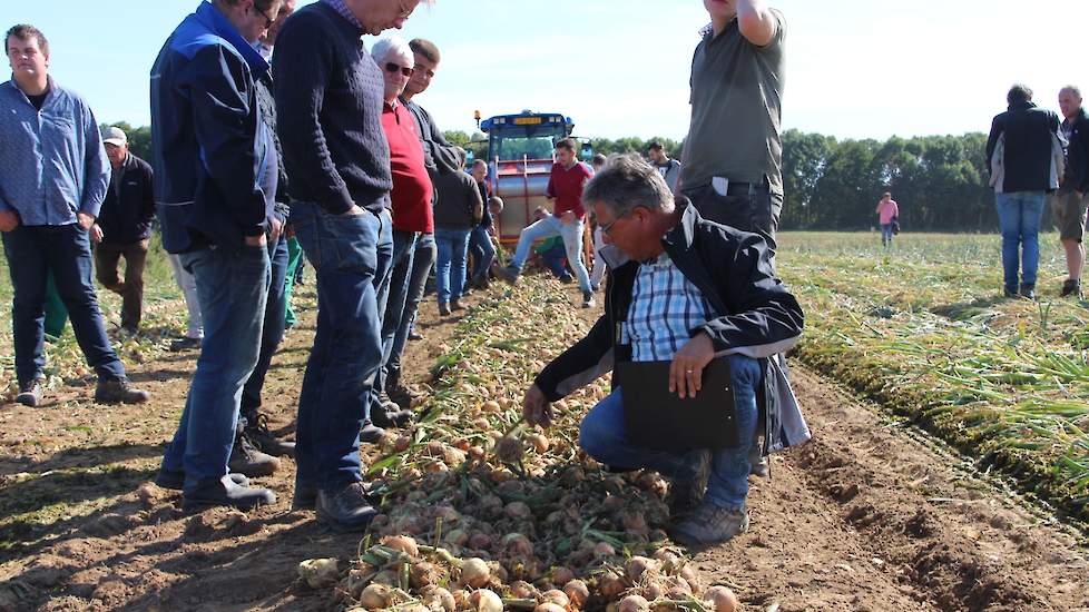 Het grootste deel van het uienareaal groeit op de Zuid-Limburgse lössgronden. In normale jaren zorgt de capillaire werking van deze grond voor voldoende vochtaanbod.