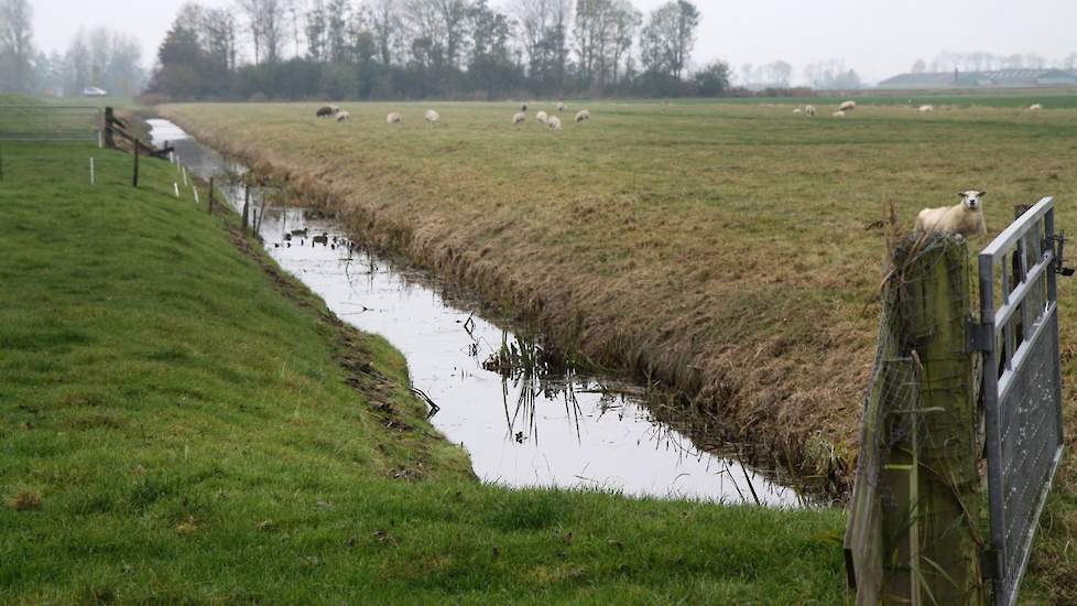Een wasplaats met een vloeidichte vloer.