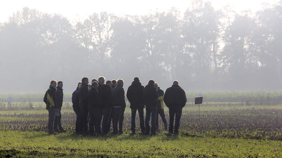 Op de vraag of telers volgend jaar hetzelfde doen als in 2019 zegt 42 procent ‘ja’. Een teler uit Nederweert moppert over de praktische haalbaarheid van het vanggewassenbeleid.