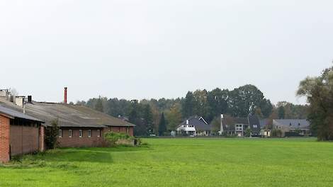 Beeld ter illustratie