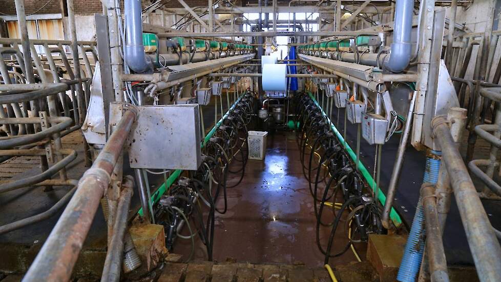 In 2015 verdween het melkquotum en ging Cremers driemaal daags melken. „De productie is 15 procent gestegen. Het eerste jaar waren de gehaltes minder. Nu is de productie 11.000 liter per koe met 3,50 procent eiwit en 4,25 procent vet”, zegt Joris Cremers.