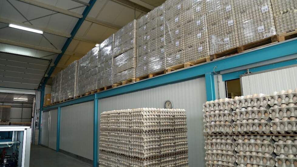 De verpakkingsmaterialen. „We hebben voor 100.000 euro voorraad aan verpakkingsmaterialen. Dat hadden we in het begin niet voorzien. We laten de trays indrogen want dat is beter voor de broedeieren”, licht Twan Engelen toe.