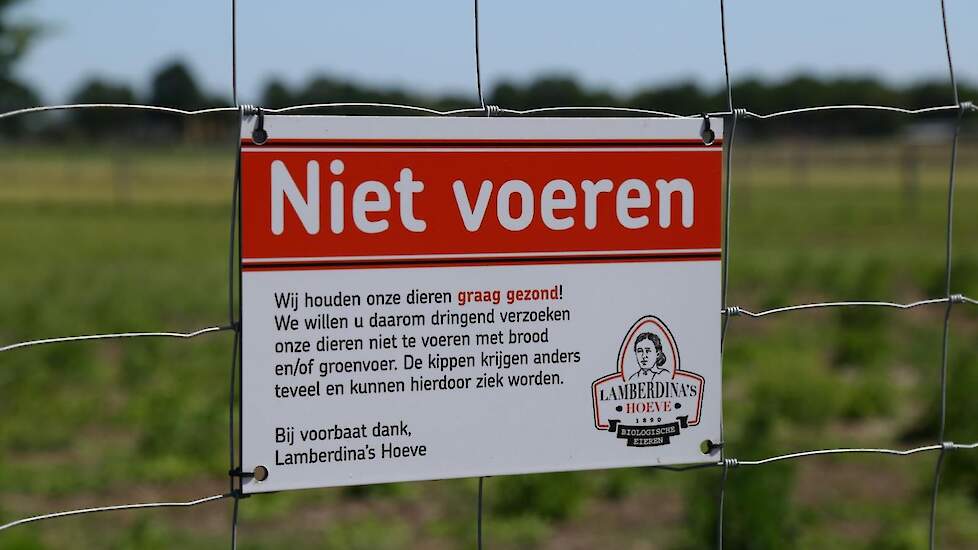 Voor aan het hek bij de picknickbank en schommel een bordje met ´Niet voeren´. „Als pluimveehouder ben en blijf je verantwoordelijk voor de geproduceerde eieren. Ik werk al jaren met ISO. Je leert er bewuster door te werken. Alle processen moet je vastleg
