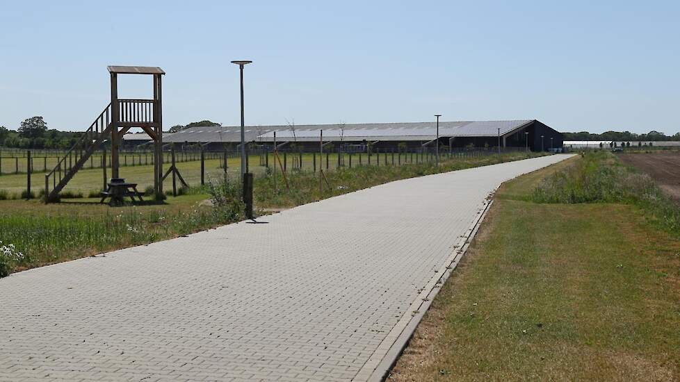 Lamberdina’s Hoeve ligt aan de Wusterweg in Castenray in een landbouwontwikkelingsgebied. Aan het begin van de uitloop een uitkijktoren en picknickbank. Naast de stal een wandelpad en een bloeiende bloemenberm. Iets terugdoen voor de omgeving was een van