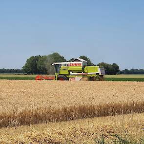 Akkerbouwer Nils van Tilbeurgh uit Oud-Vossemeer (ZL) dorste gisteren en vandaag een perceel wintergerst van het vroege ras Rafalea. De oogst van de 6,5 hectare gerst verliep vlot. De gerst doet het goed: het vochtpercentage ligt rond 12,5 procent, het he