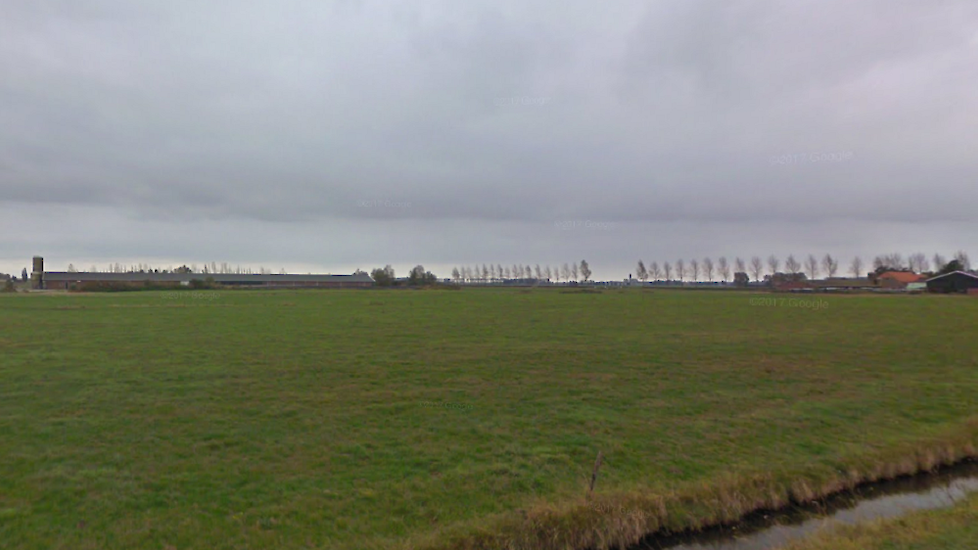 Het varkensbedrijf in Poortvliet
