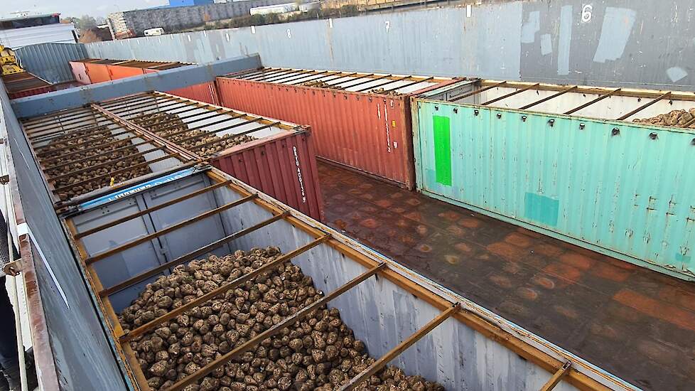 Containerschepen met containers die zijn gevuld met suikerbieten