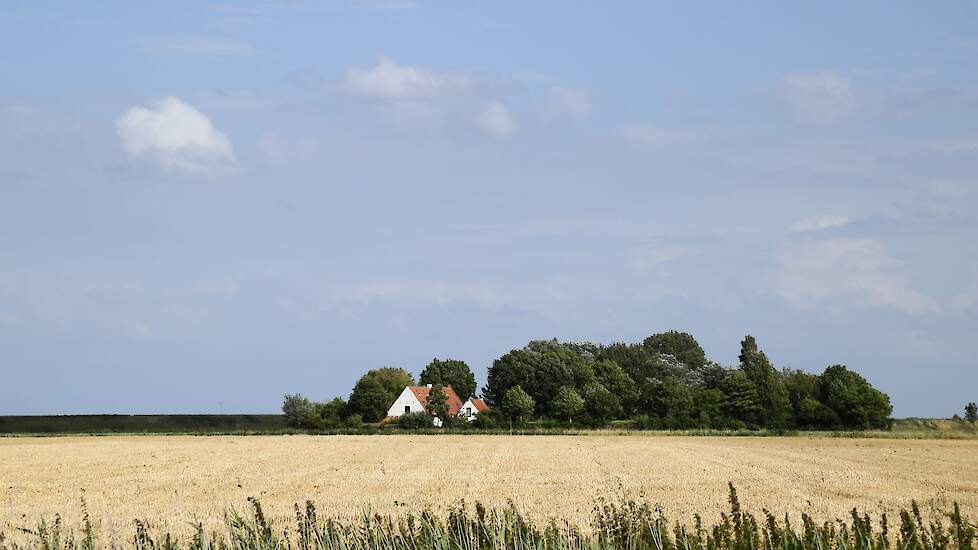Afbeelding van een boerderij in Zeeland ter illustratie.