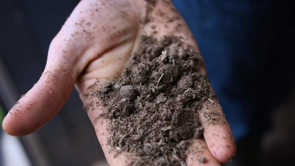 De dikke mest is puur fosfor en wordt gecomposteerd, legt De Bruijn uit. „Als je ruikt zit er geen lucht aan. Het is zo’n droge stof, het voelt hetzelfde als een handje potgrond.”