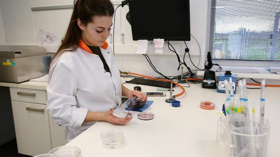 In het Global Food Lab onderzoeken twee laboranten dagelijks alle monsters. Standaard onderzoeken, zowel microbiologisch als chemisch, en klantspecifieke onderzoeken.