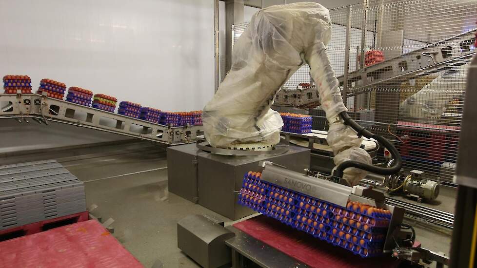 Sinds 2016 is Global Food Group fors gegroeid. Wekelijks verwerkt ze miljoenen eieren waarvan 85 procent van vaste pluimveehouders. „Om de specifieke wensen te maken is de hele legpluimveeketen nodig. Wij willen graag langdurige samenwerkingen”, zegt Math