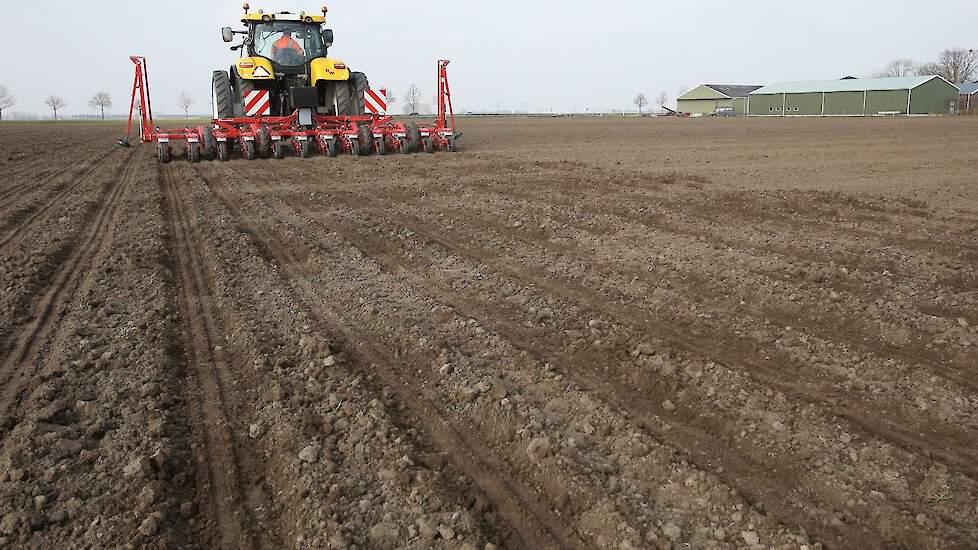 Het zaad wordt op verzoek van de teler gezaaid op 17 cm.