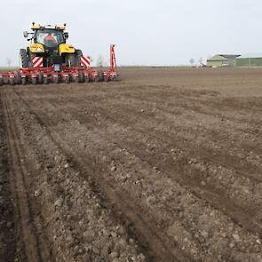 Het zaad wordt op verzoek van de teler gezaaid op 17 cm.