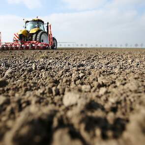 Het werkgebied van Rasenberg ligt grofweg tussen Fijnaart en Raamsdonkveer. Doordat veel akkerbouwers zelf een bietenzaaier hebben gekocht, is er voor de loonwerker minder werk op dit terrein. Bij de oogst is dat anders. „We rooien veel meer bieten dan we