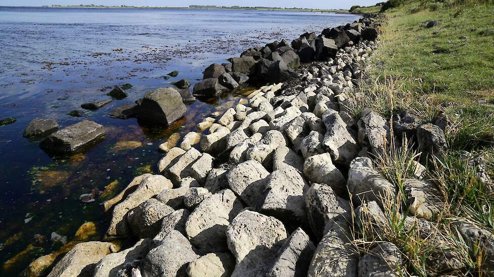 Akkerbouwer uit Noord-Holland moet buitendijkse gronden in Zeeland aan natuur overlaten