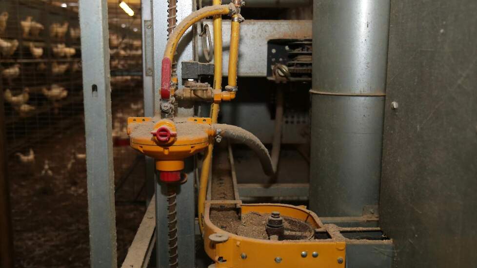 In 2016 installeerde Lander voor een automatisch spoelsysteem op de drinknippellijnen. Om de drinkwaterkwaliteit op peil te houden, spoelt hij de eerste week dagelijks de drinklijnen door. „De eerste week is het ruim 30 graden in de stal. Dan drinken de k