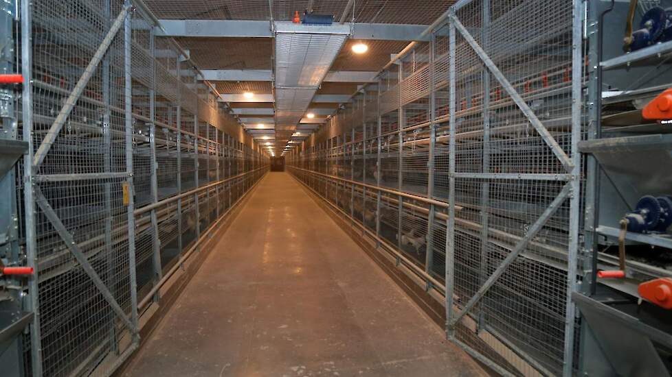 De familie koos in hun nieuwe stal voor een volière opfoksysteem van Big Dutchman. In hun stallen uit 2011 en 2016 werken ze alle drie met een volière opfoksysteem van Specht. „We hebben meerdere rijenopfoksystemen bekeken in 2010 en in 2016 en 2020 ook.