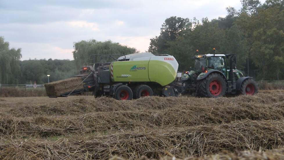 Het stro lag al drie weken op de akker in Sittard. Door het continue wisselvallige weer kon Brands dit niet eerder laten persen.
