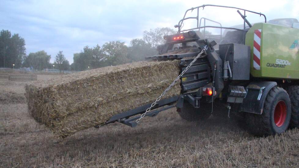 De prijs voor grote pakken tarwestro schommelt op de stromarkten in Goes, Middenmeer en Emmeloord momenteel tussen de 70 en 90 euro per ton. Dit is aanzienlijk minder dan de 117,50 euro die begin juli nog werd neergeteld voor grote balen tarwestro.