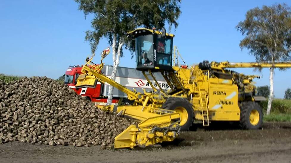 Suikerbieten laden met Ropa Maus