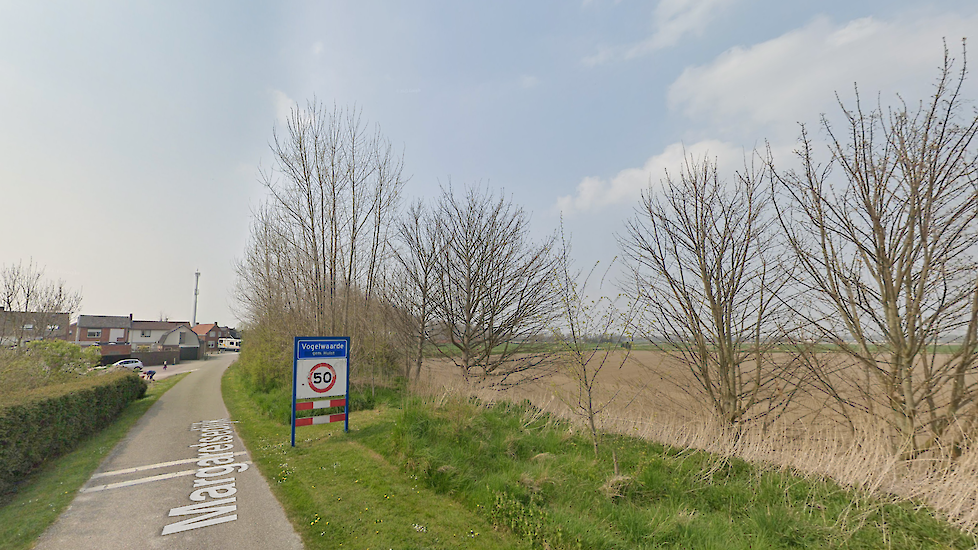De Margaretsedijk in Vogelwaarde.