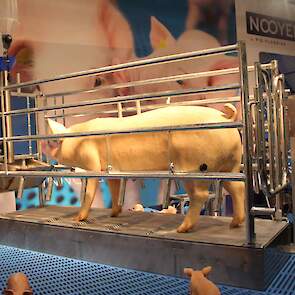 Dierenwelzijn is een cruciaal aspect binnen de Europese wet- en regelgeving. In de traditionele varkenshouderij heeft zich dit onder andere vertaald in een focus op vrije uitloop voor zeugen in kraamhokken. Nooyen Pig Flooring heeft al ruime ervaring met