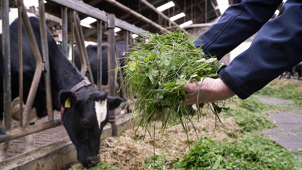In ruil voor subsidie moeten de deelnemende boeren onder meer hun kennis over natuurinclusieve landbouw delen.