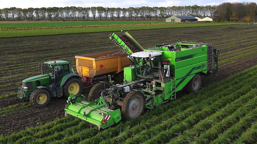 Wortels rooien | Harvesting carrots | Möhren roden | AVR Puma 3 | John Deere | Fendt | Oogst 2021