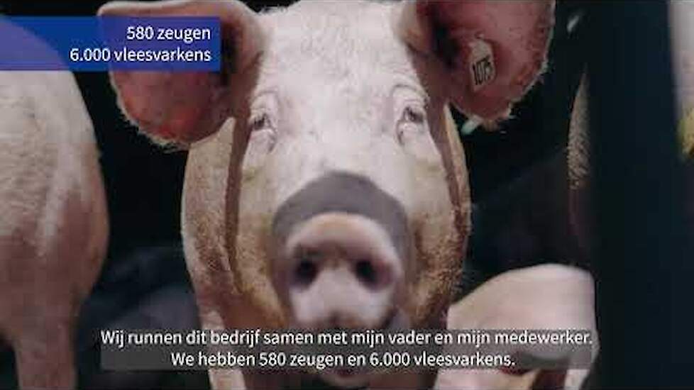 Drieveld BV wint Agroscoopbokaal Varkens 2022