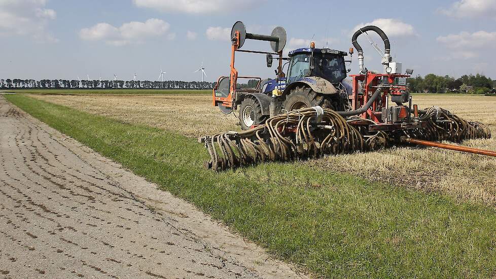 Rundermest gaat varkensmest verdringen op de graanstoppel de komende weken.