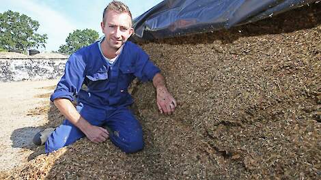 Luuk Maas is goed te spreken over sorghum in combinatie met maïs. Het vormt een smakelijke structuurbron.
