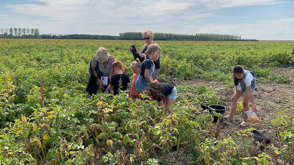 De bezoekers kregen een riek en een zak mee om 1 meter aardappelen te rooien en mee naar huis te nemen. Er waren opvallend veel jonge gezinnen met kinderen.