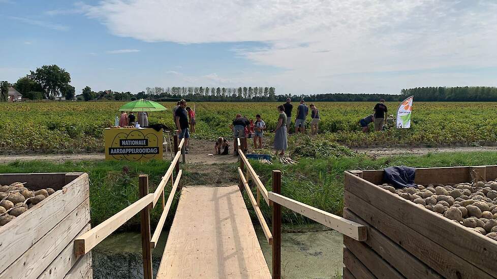 Via een loopbrug kon het bezoek van Van der Velde naar het bedrijf van zijn buurman waar (ook) aardappelen konden worden gerooid.