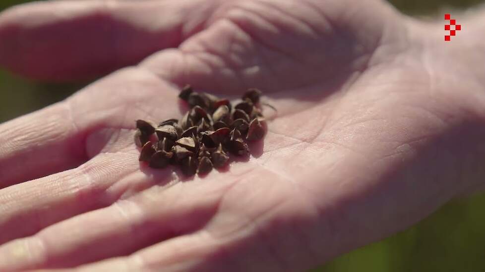 Agrifoodpluim voor Maatschap Keijzers